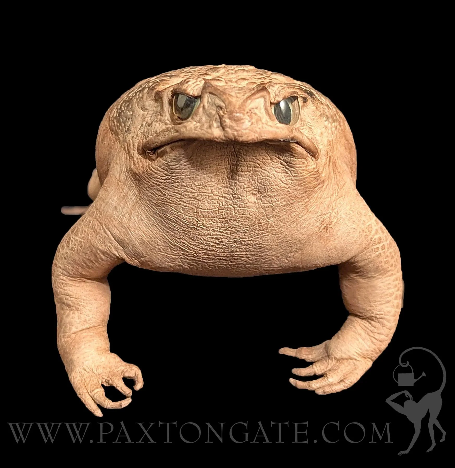 Thumb 2
